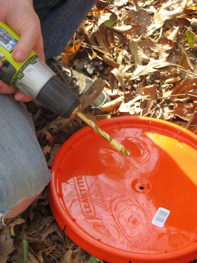 Drilling a Hole in the Bucket Lid to Collect Sap
