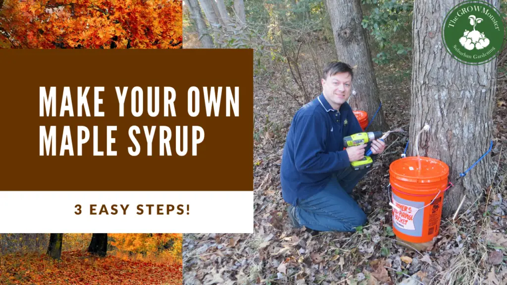 Make your own maple syrup.