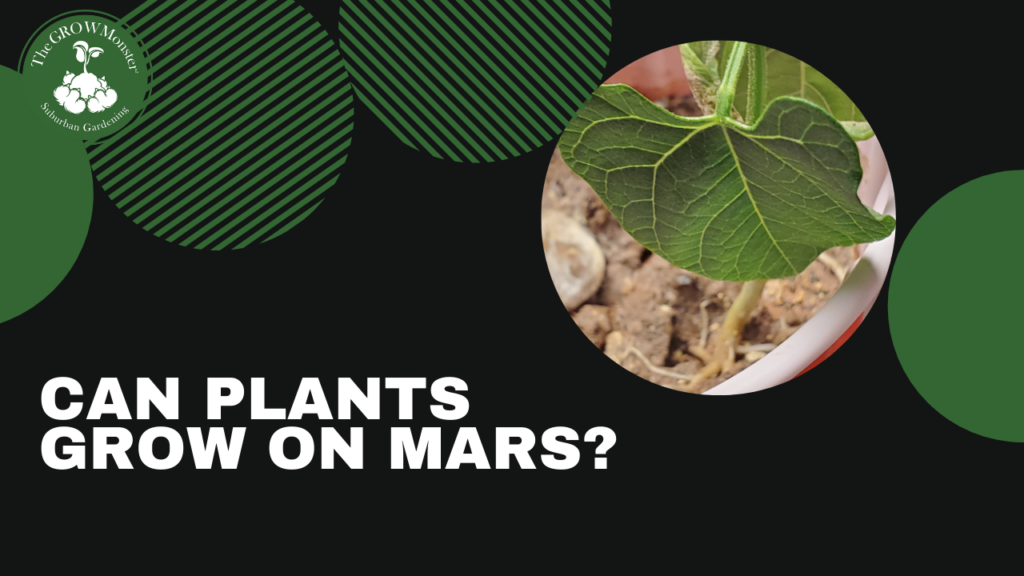 Can Plants Grow on Mars?