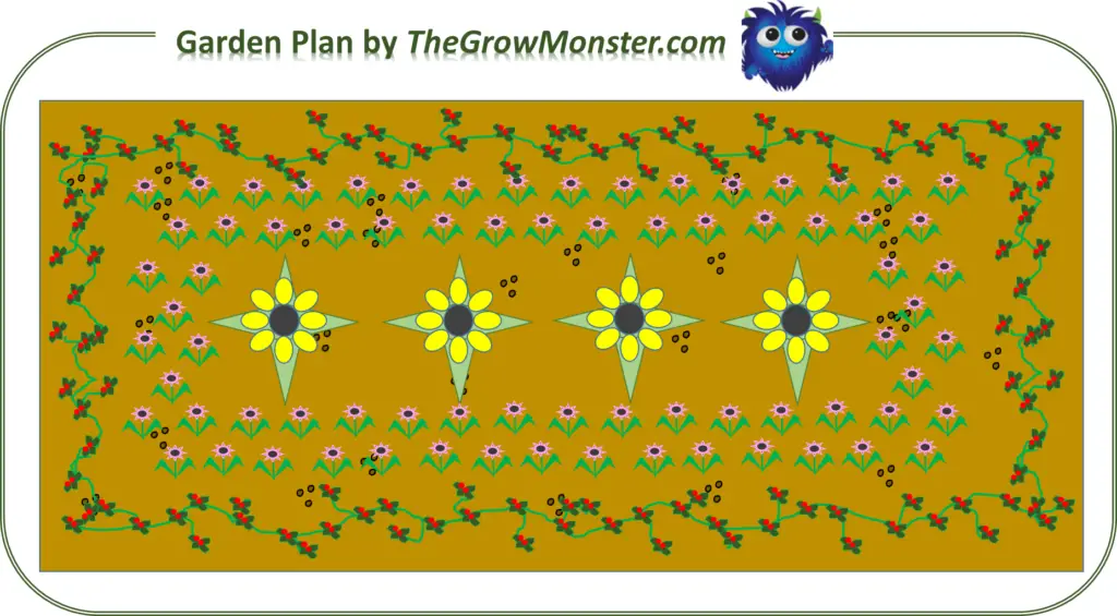 Garden drawing of sunflowers, coneflowers, and straberry to attract pollinator.