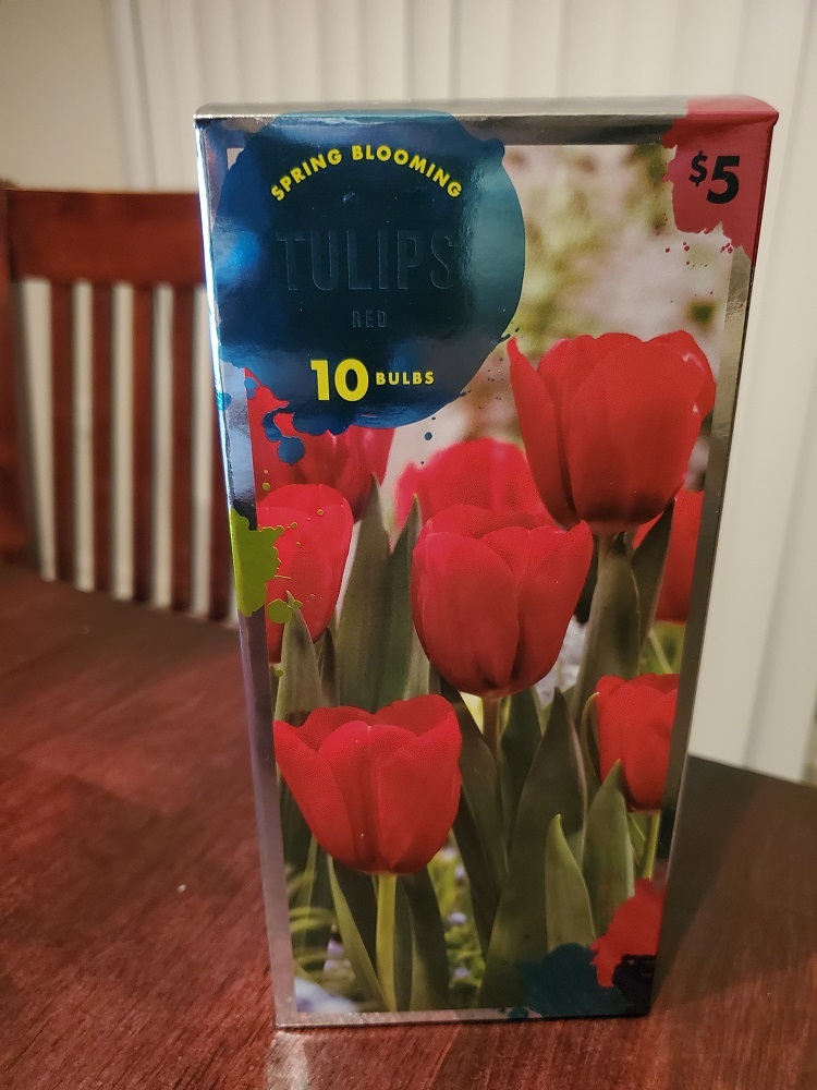 Box of tulip bulbs.