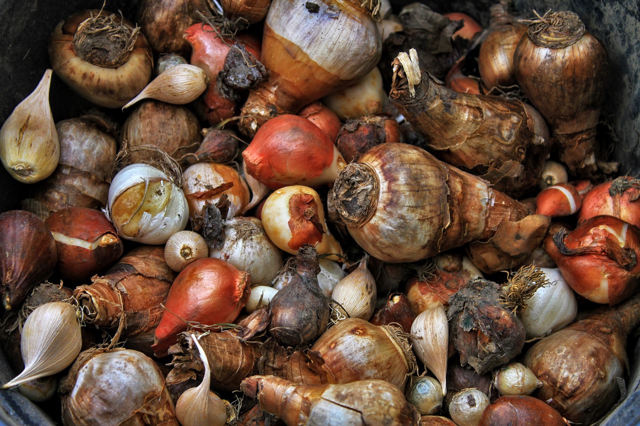 can-bulbs-survive-a-freeze-answered-the-grow-monster