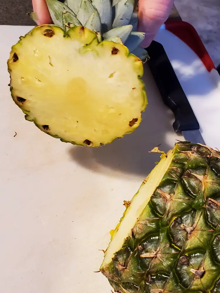 Cut Crown of Pineapple
