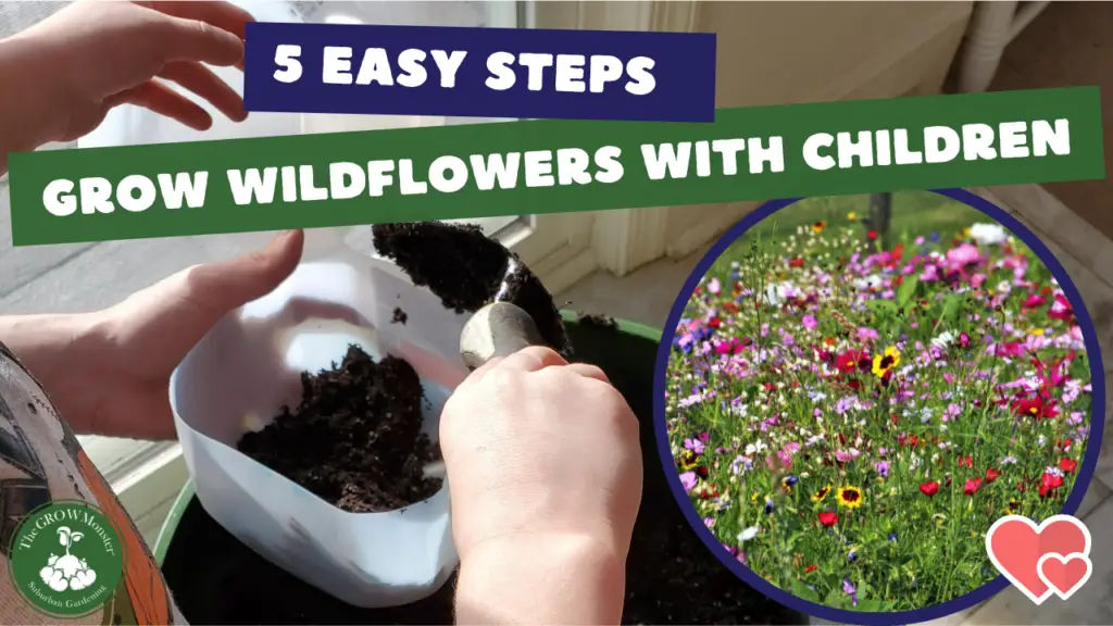 Child putting dirt in milk jug, wildflowers in a field, words Grow Wildflowers with Children